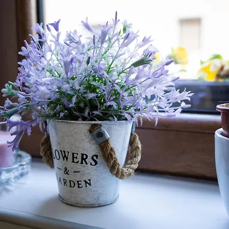 Koricanac I 아파트