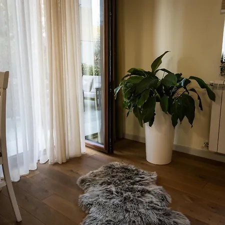 Koricanac I Vrnjacka Banja
